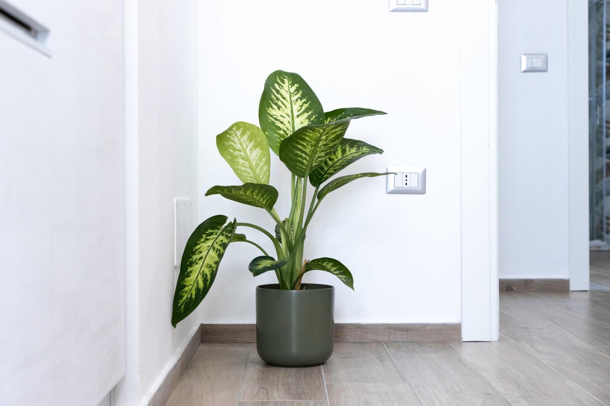 Quarzo. Modern Rooms Каляри Екстериор снимка